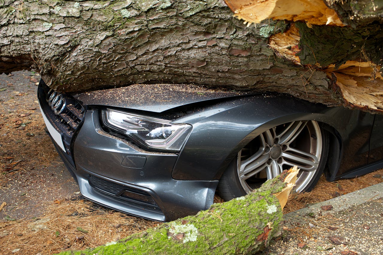 A vehicle damaged by a fallen tree after an accident in the United Kingdom.